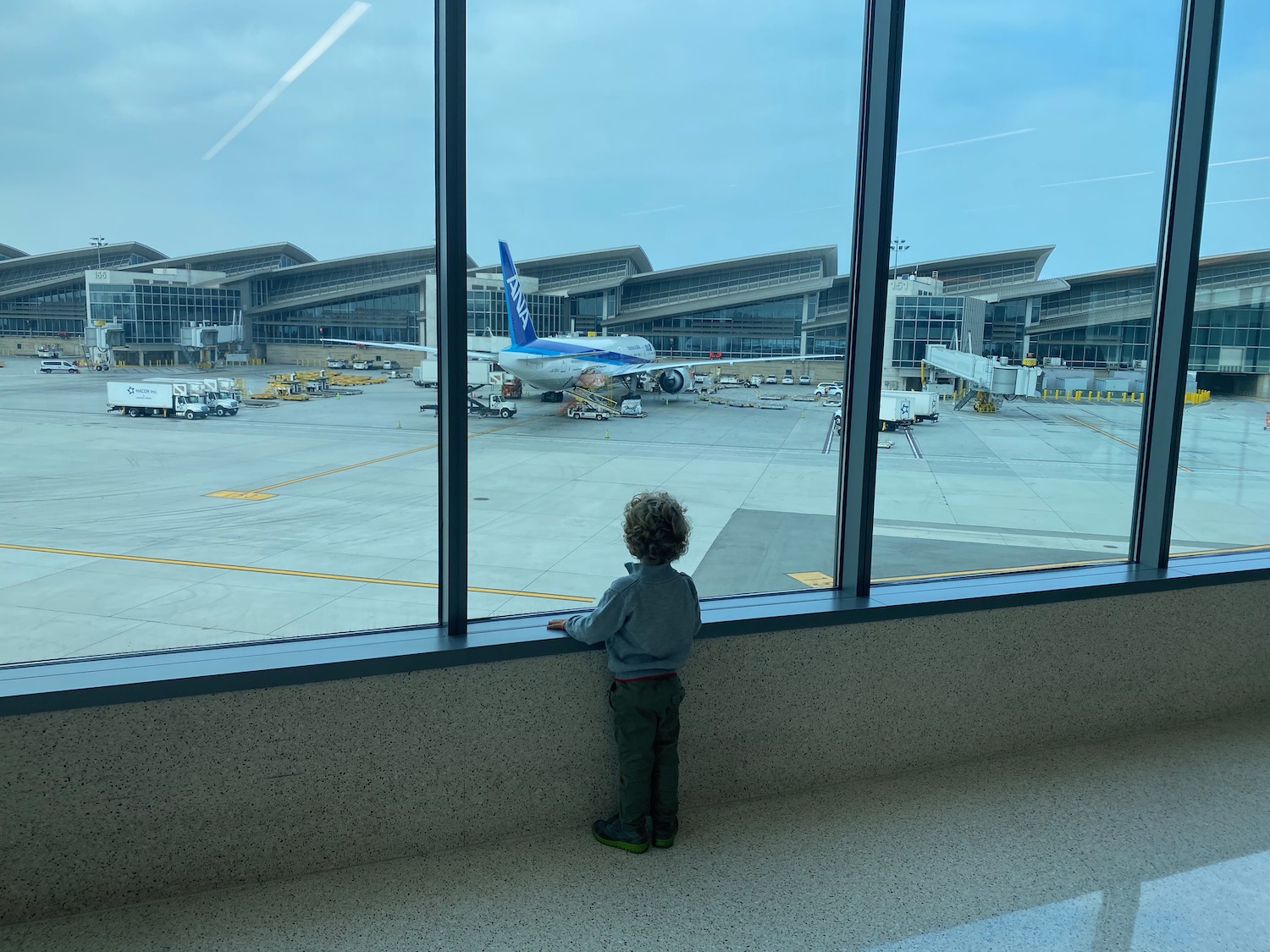 a child looking out a window at an airport