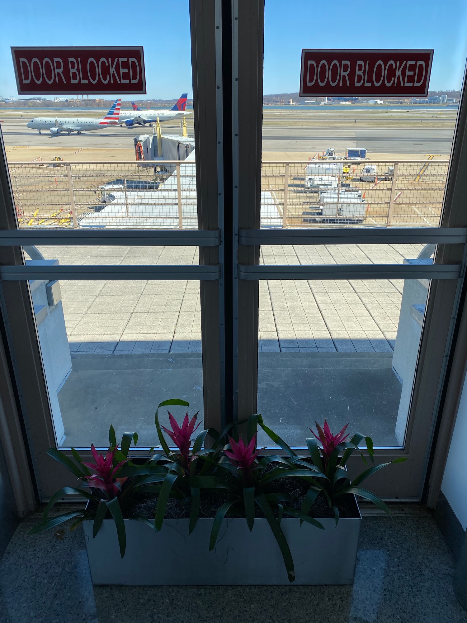 a window with a sign and flowers in front of it