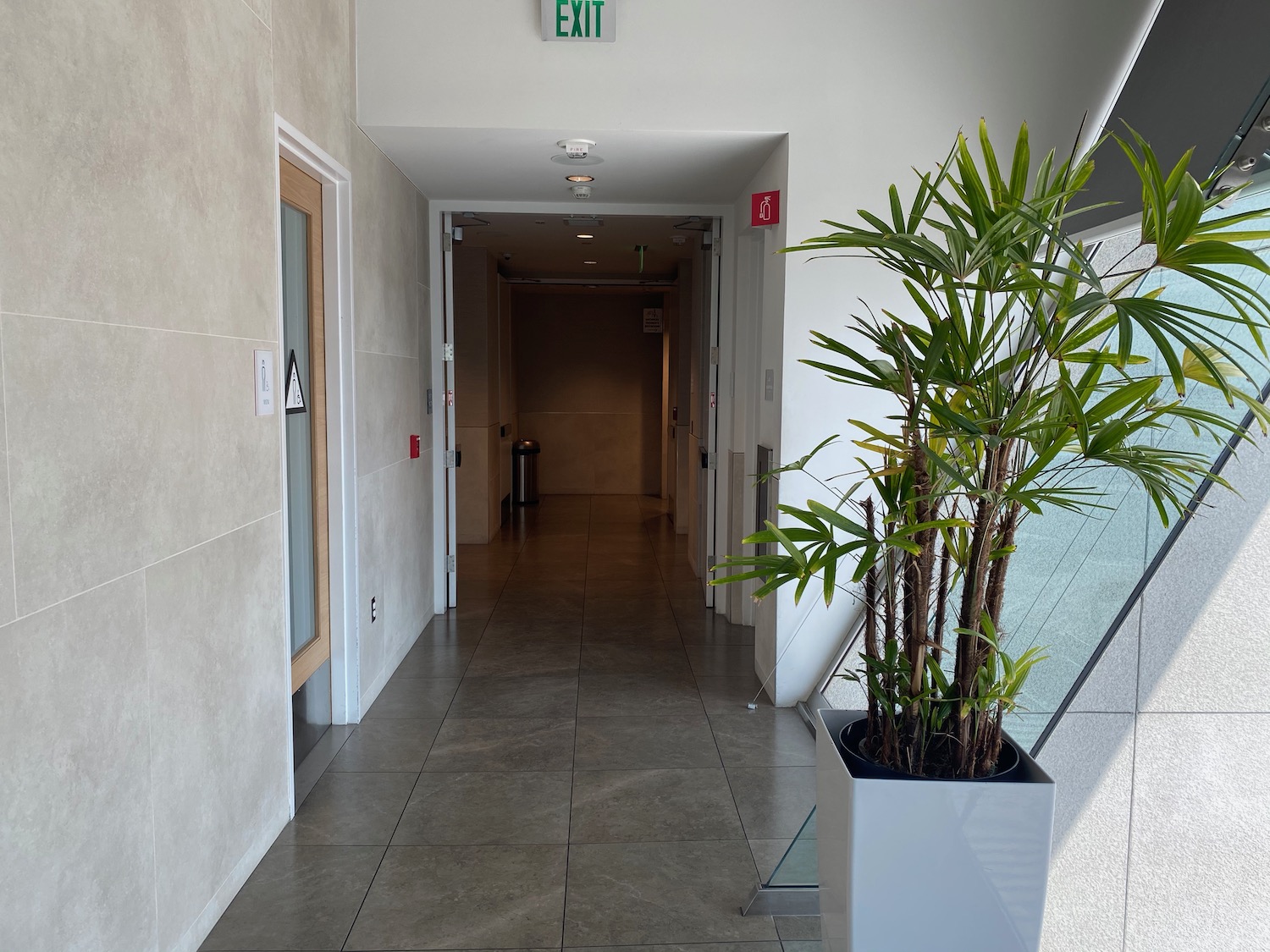 a plant in a pot in front of a hallway