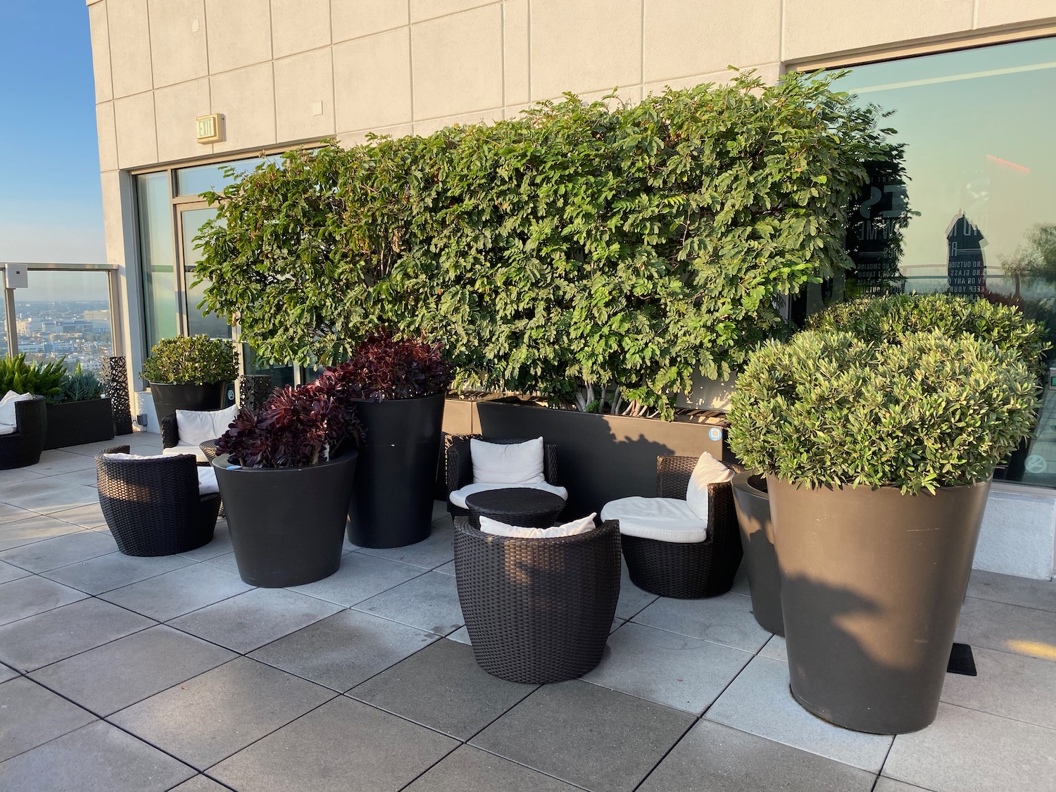 a group of plants in pots outside of a building