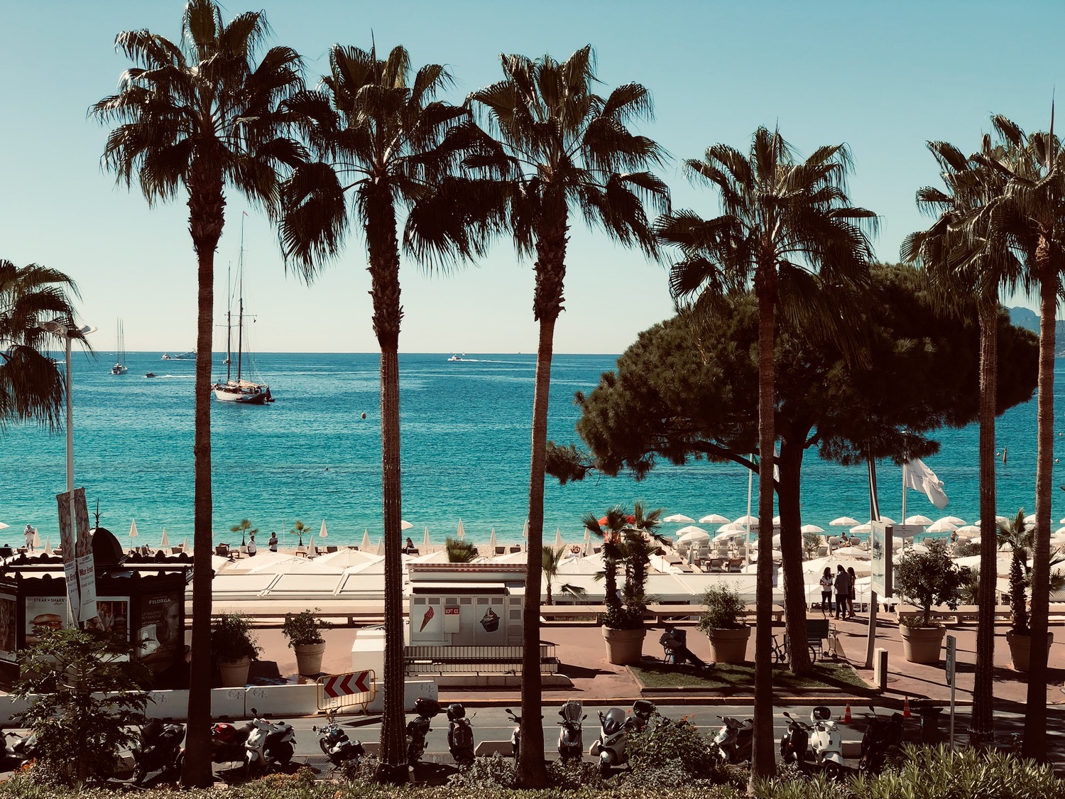 a beach with palm trees and a boat in the water