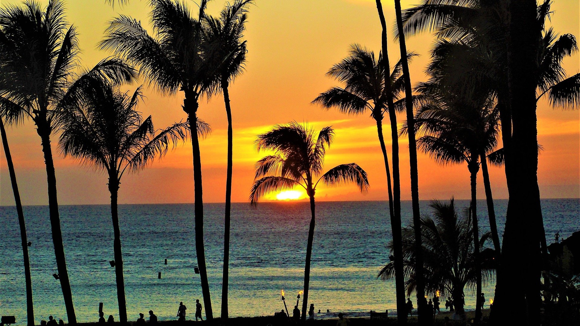 a sunset over the ocean with palm trees