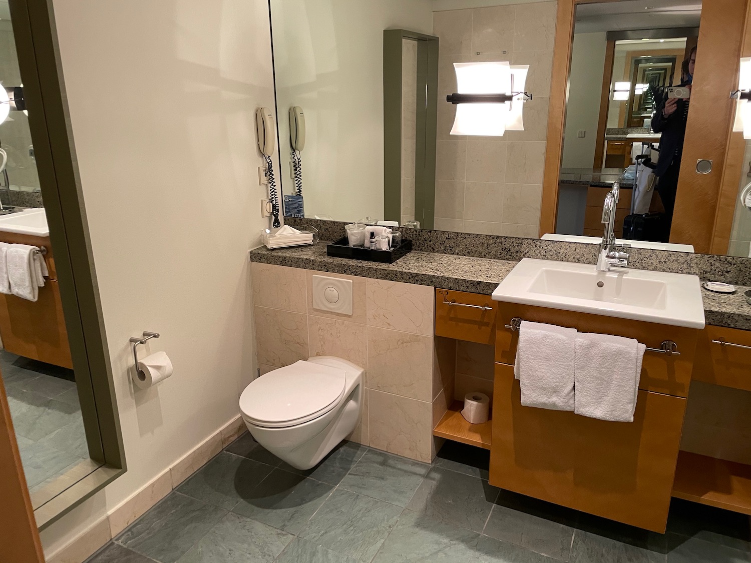 a bathroom with a sink and toilet