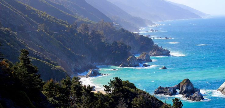 a rocky coastline with trees and water