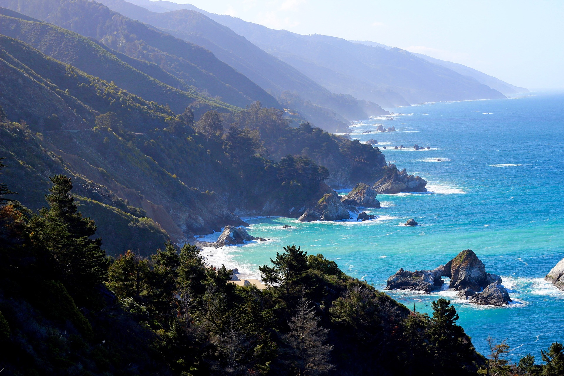 a rocky coastline with trees and water