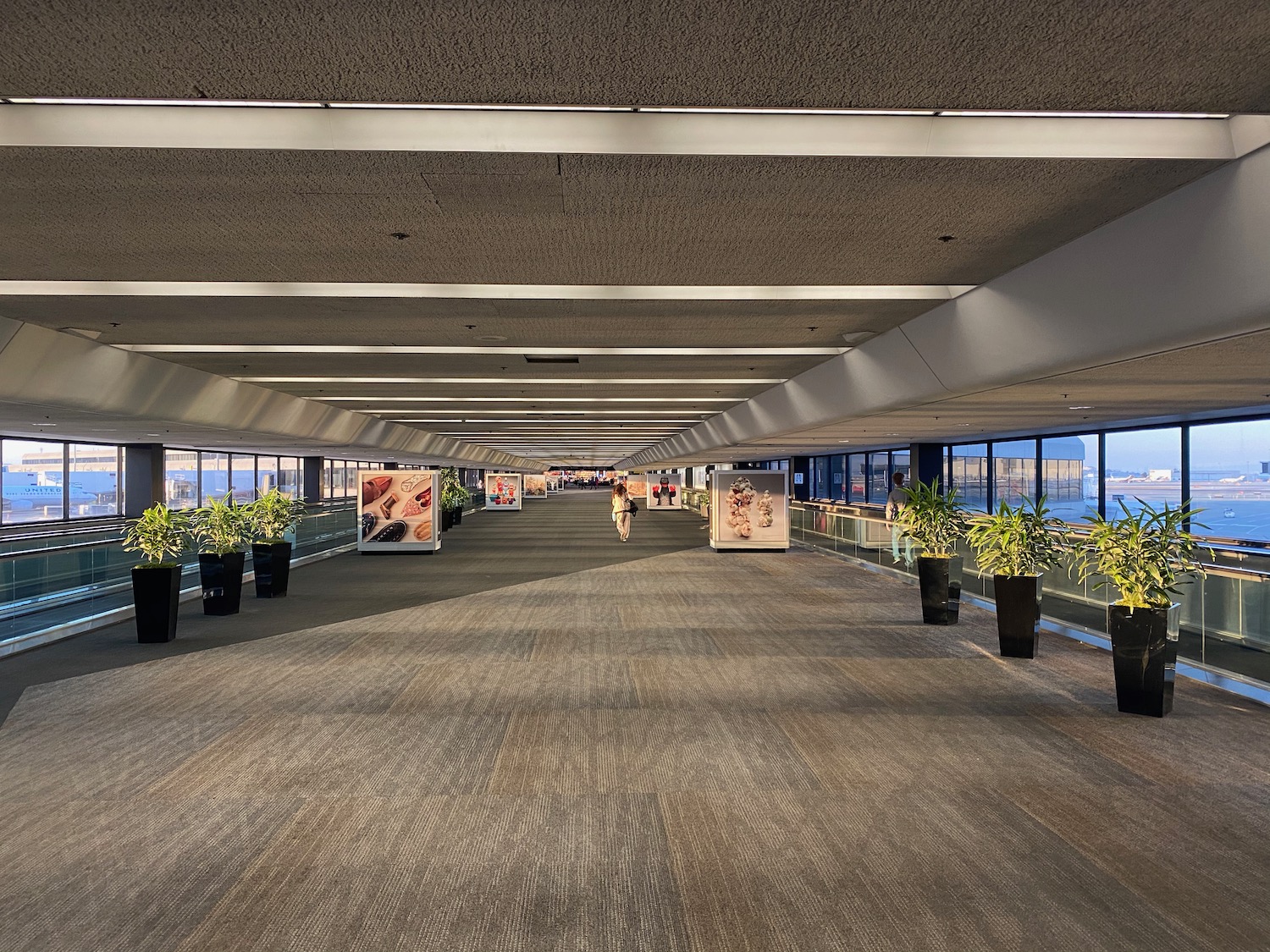 a hallway with plants in it