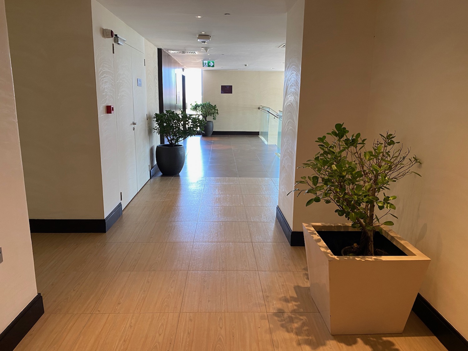a hallway with plants in pots
