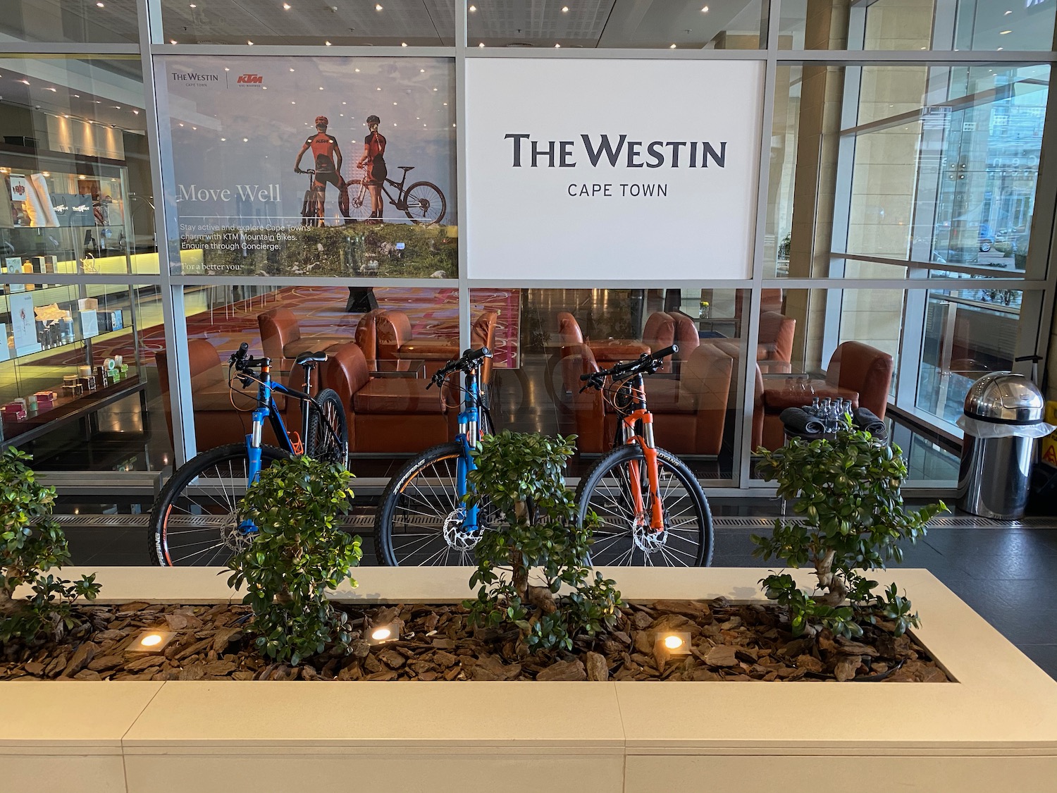 a group of bicycles in a building