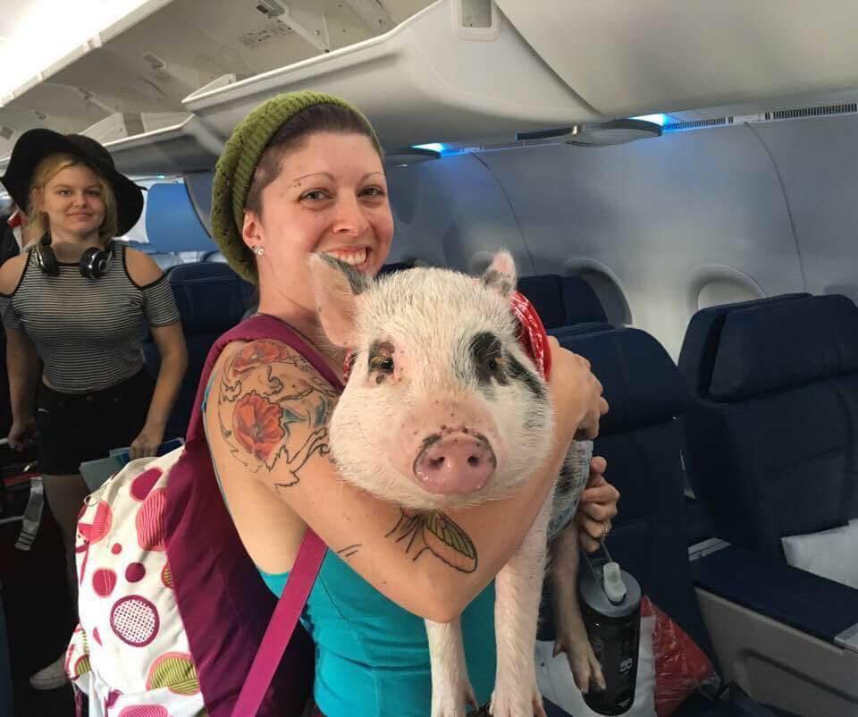 a woman holding a pig