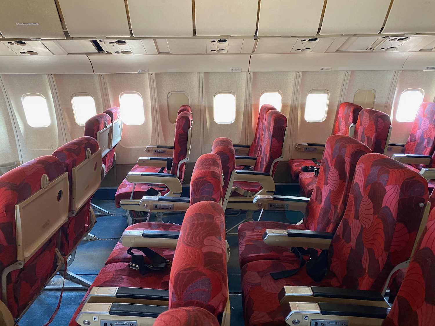 a row of red seats on an airplane