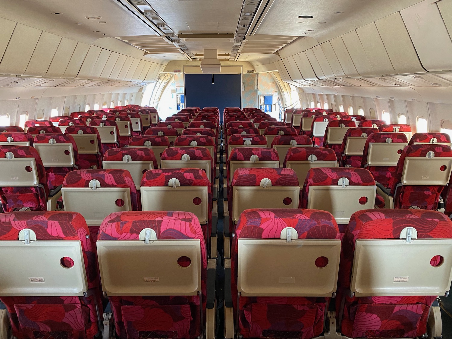 rows of red seats in an airplane