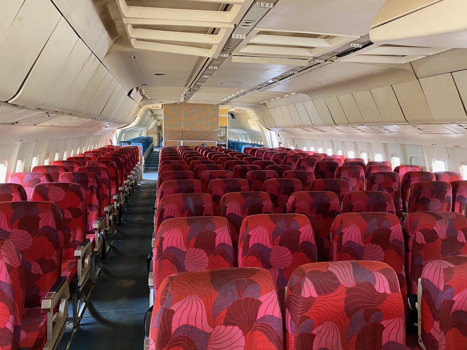 an airplane with red seats