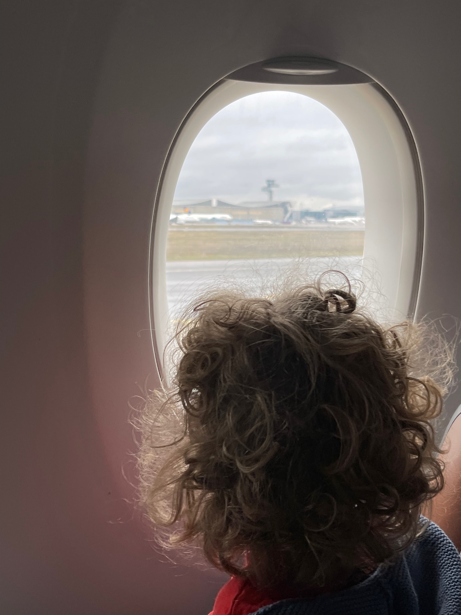 a person looking out a window of an airplane