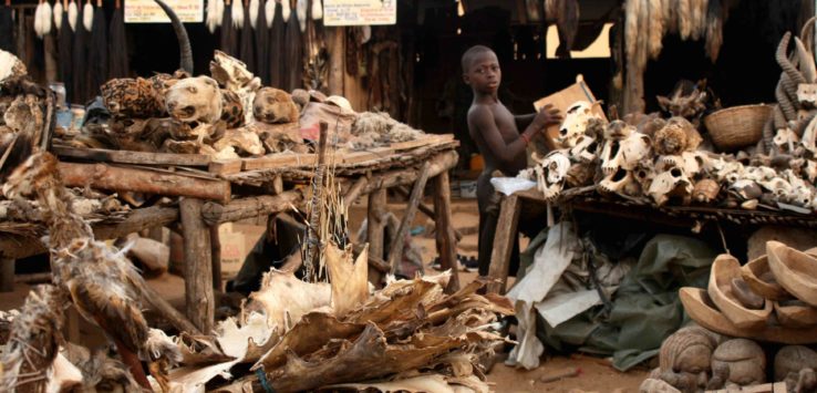 Voodoo Market Cotonou