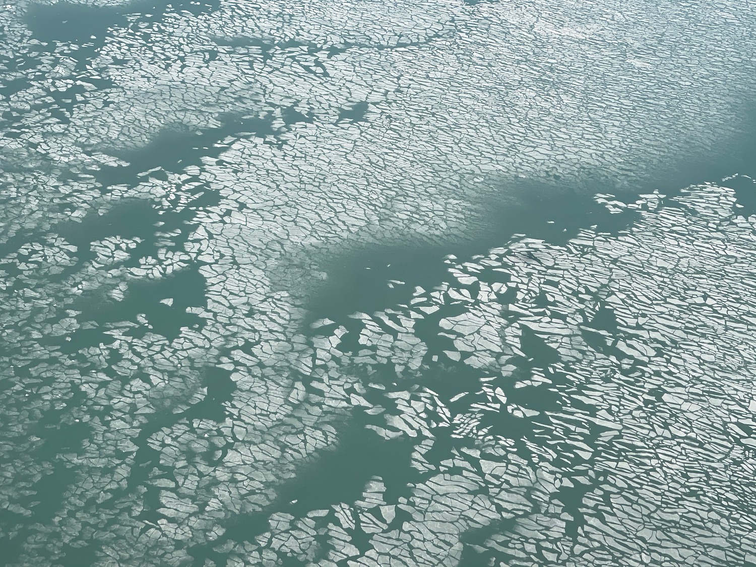 an ice floes in the water