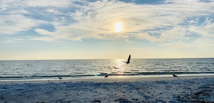 Lovers Key State Park Fort Myers Islands