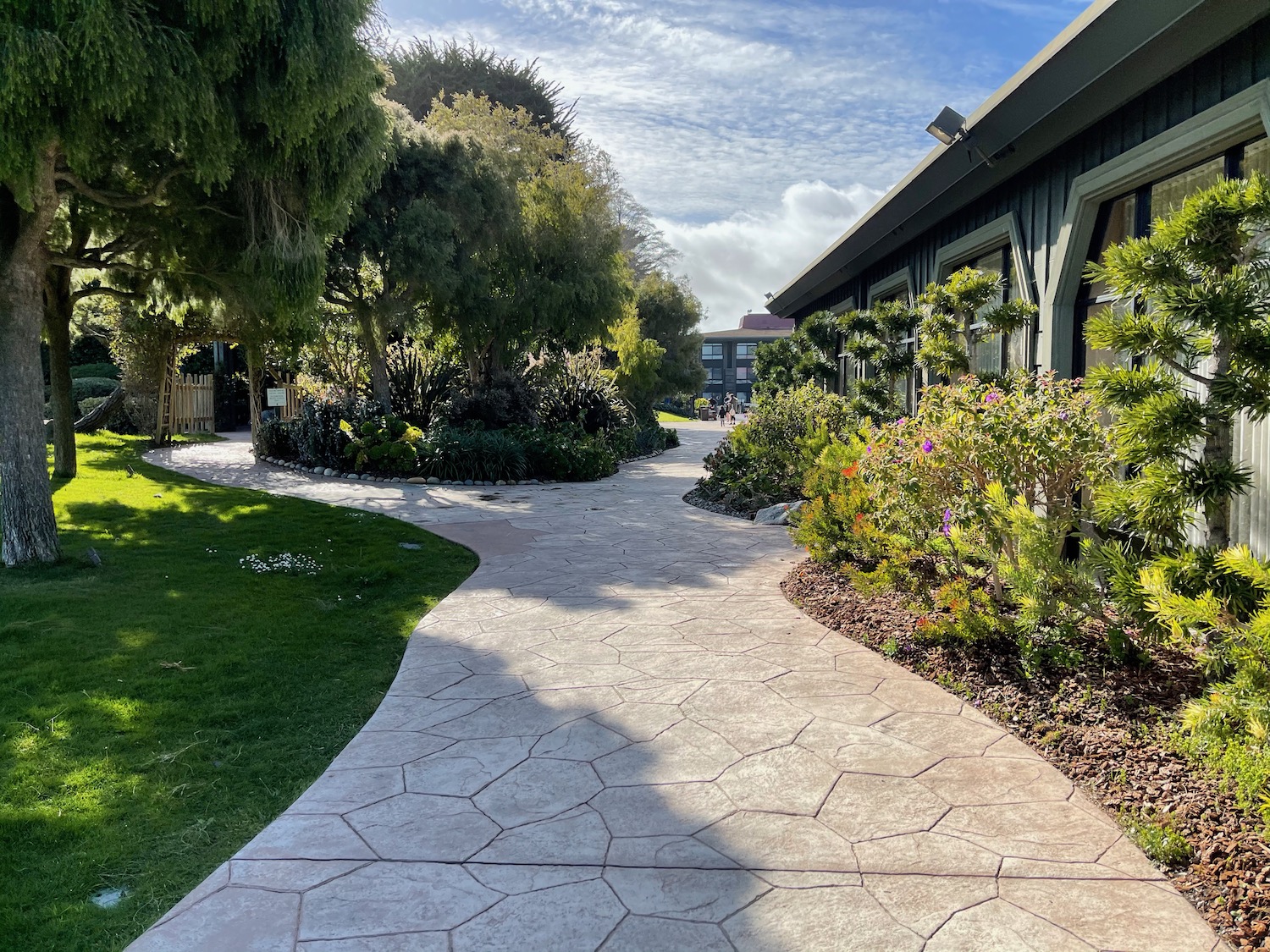 a walkway with plants and trees in front of a building