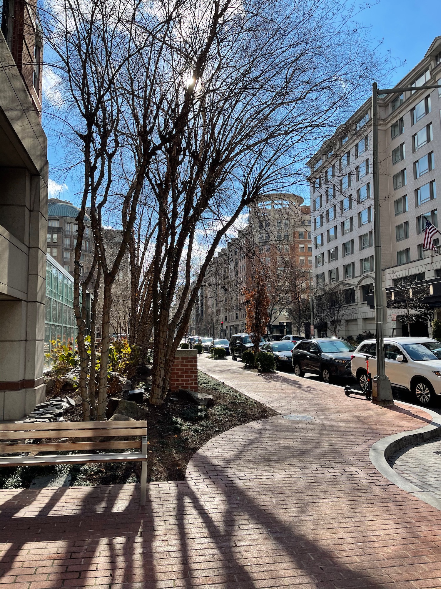 a brick sidewalk with trees and buildings on the side