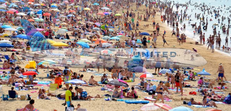 a large crowd of people on a beach