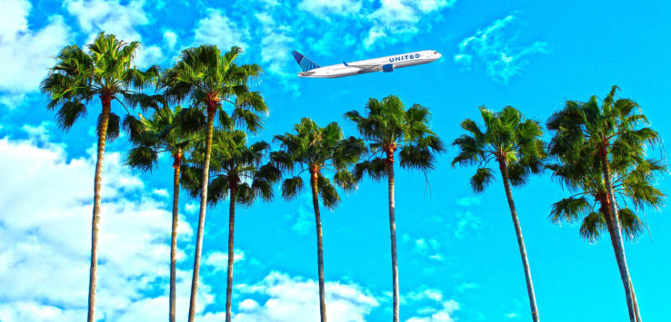 a plane flying over palm trees