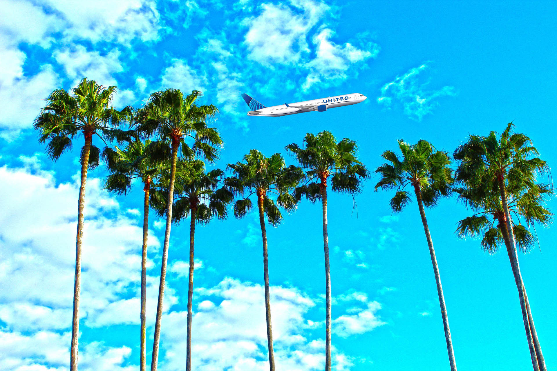 a plane flying over palm trees