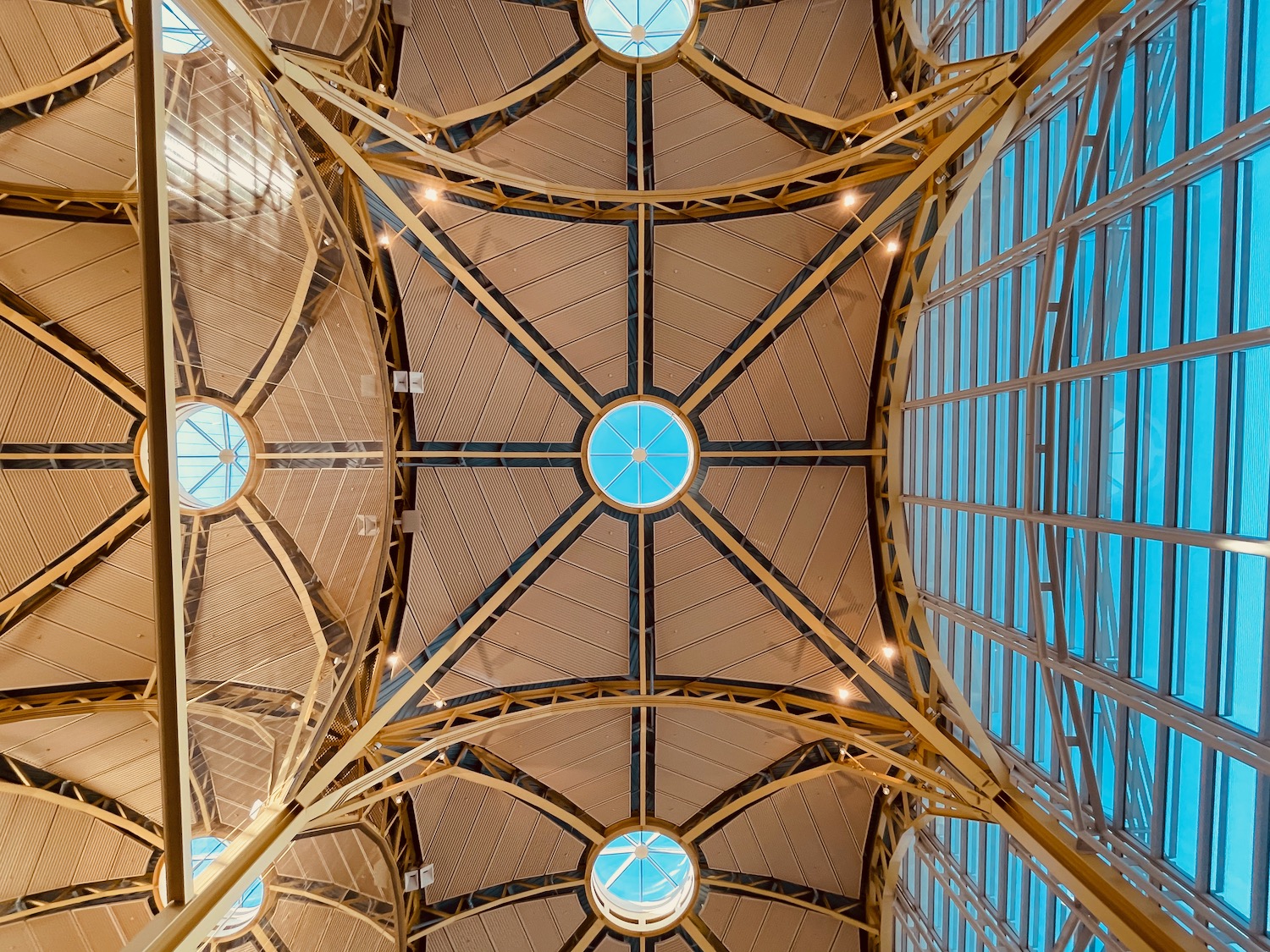 a ceiling with many windows