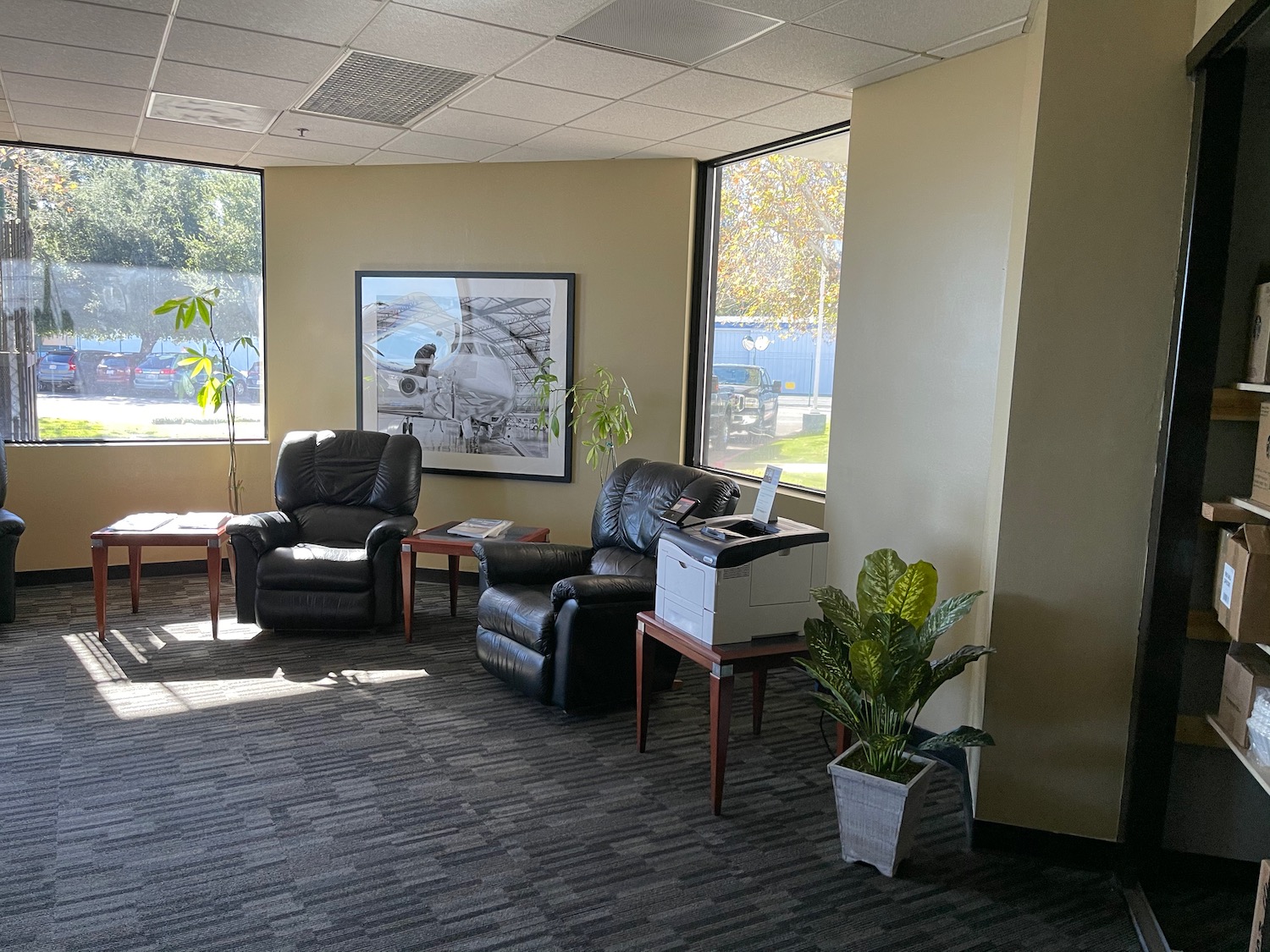 a room with chairs and a plant