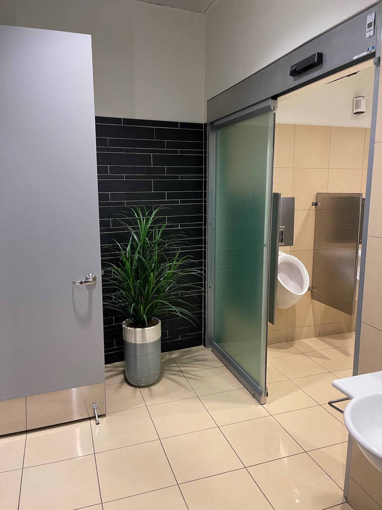 a bathroom with a plant in a pot