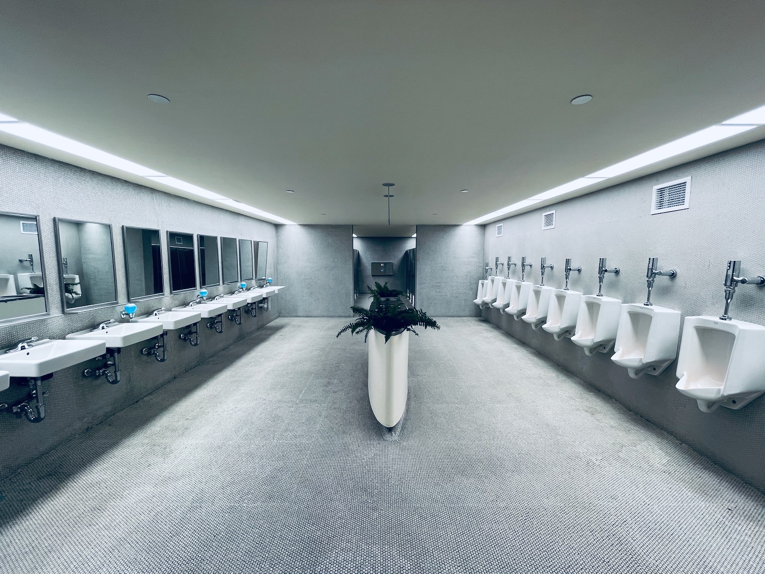 a bathroom with urinals and mirrors