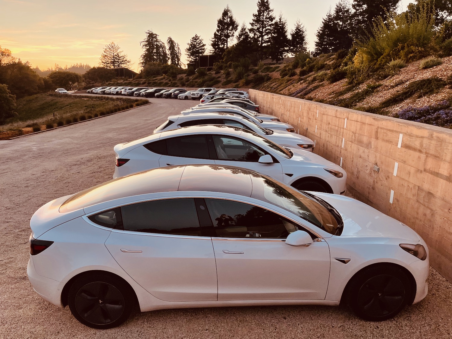 a row of white cars parked in a parking lot