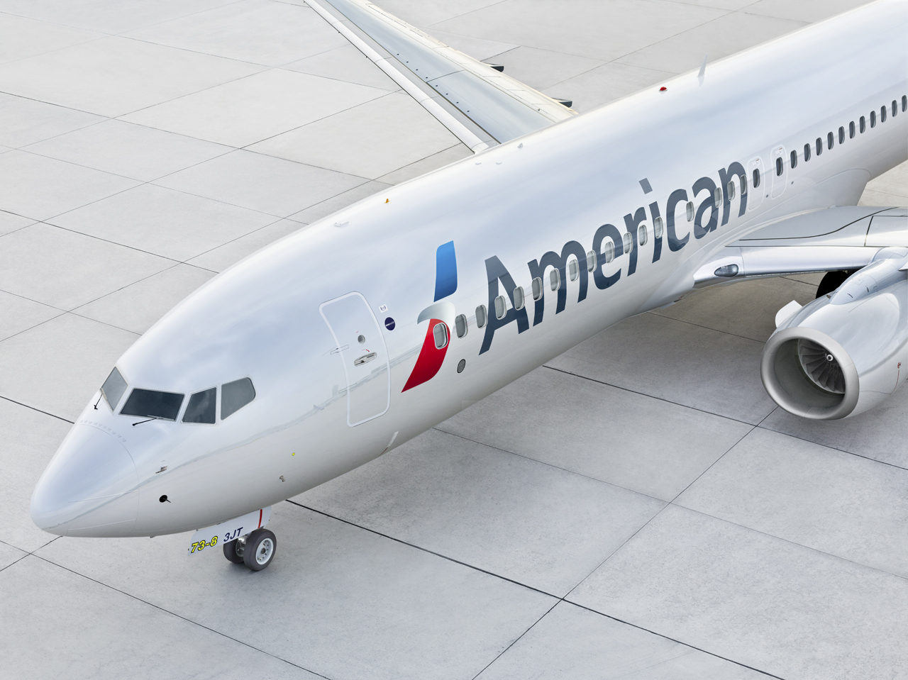 American Airlines Trash Attack