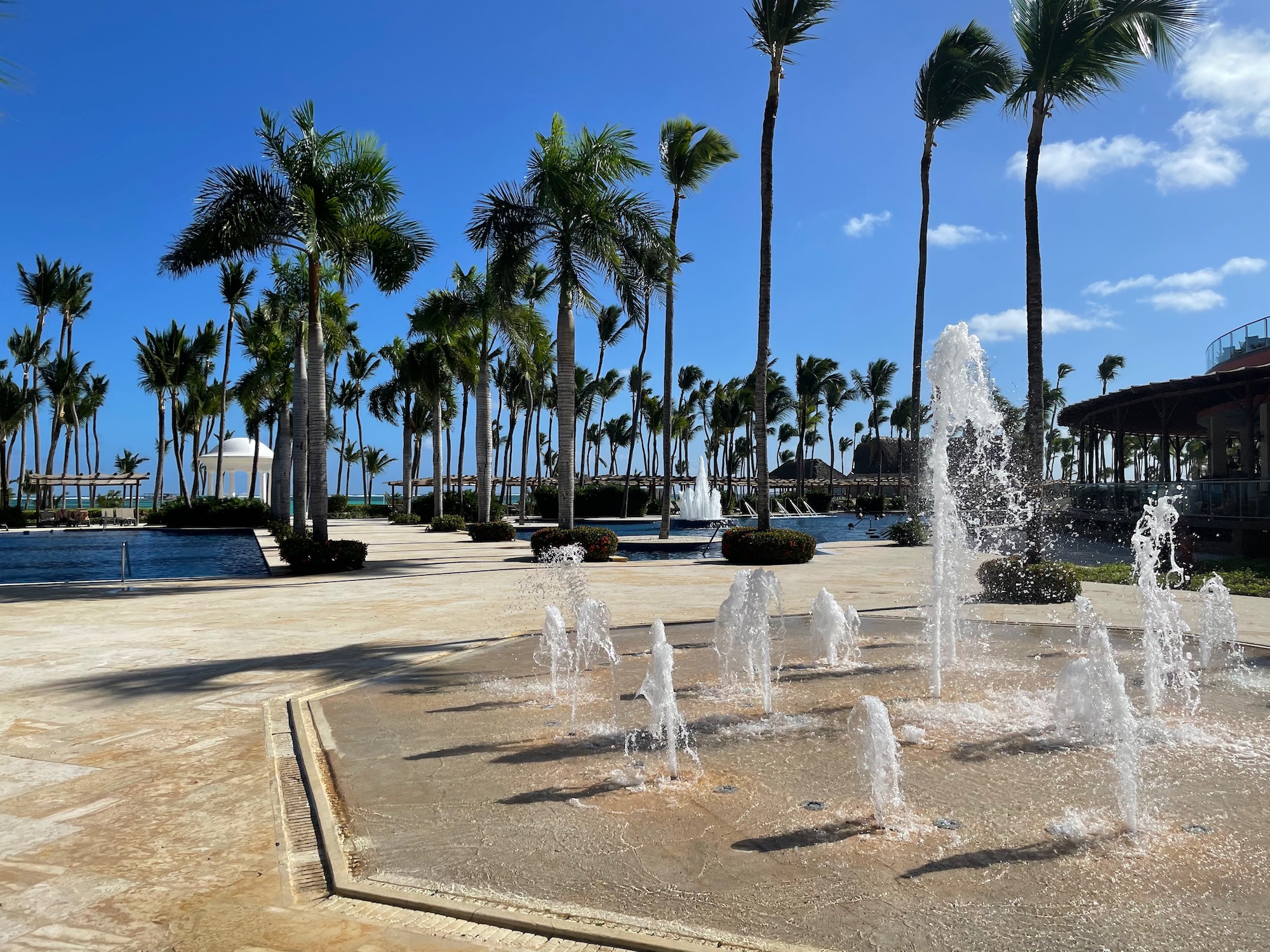 a water fountain in a park with palm trees