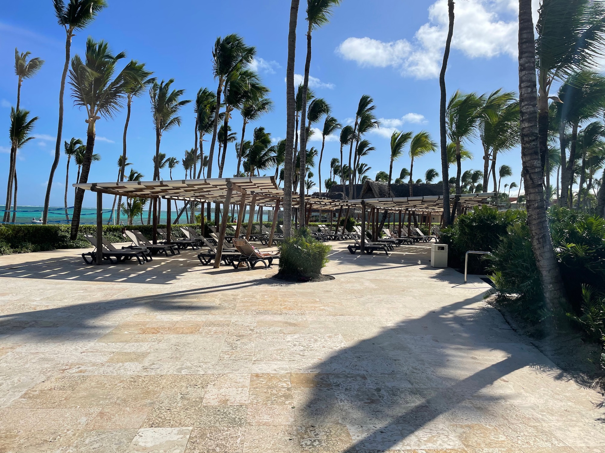 a beach with palm trees and chairs