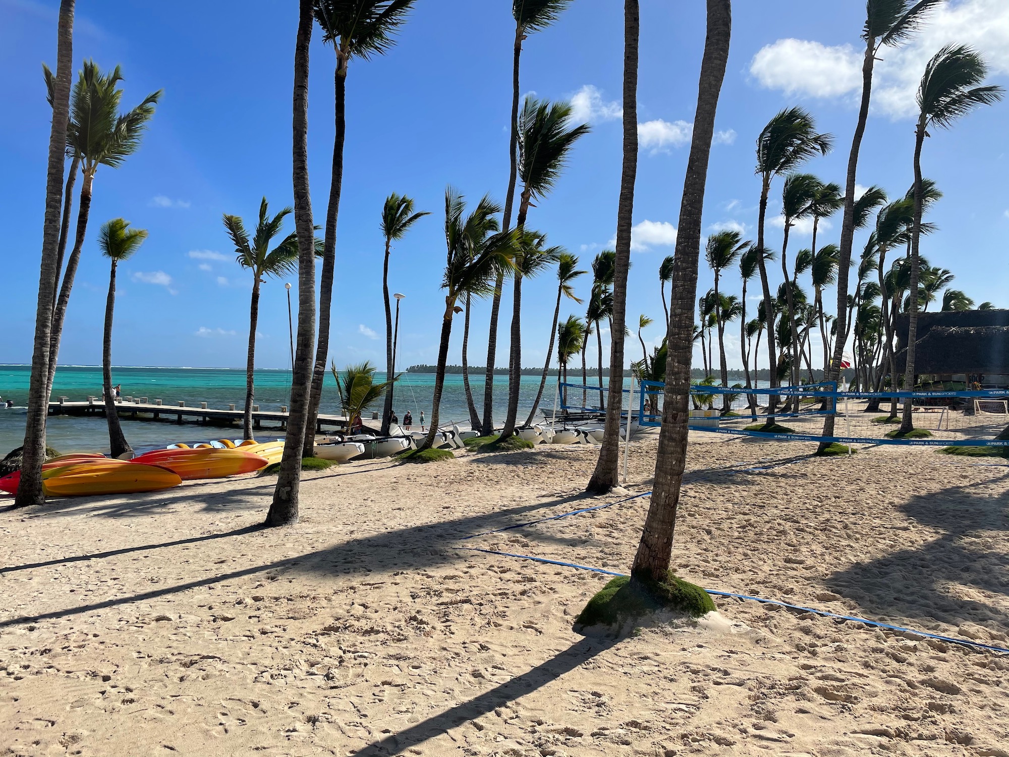 a beach with palm trees and kayaks