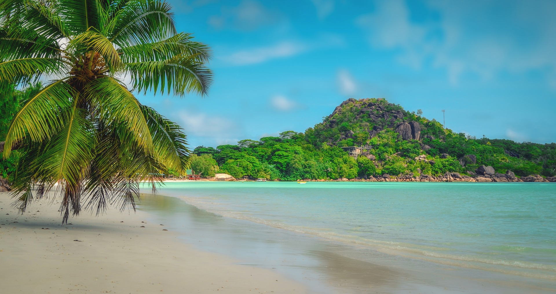 a beach with palm trees and a rocky island