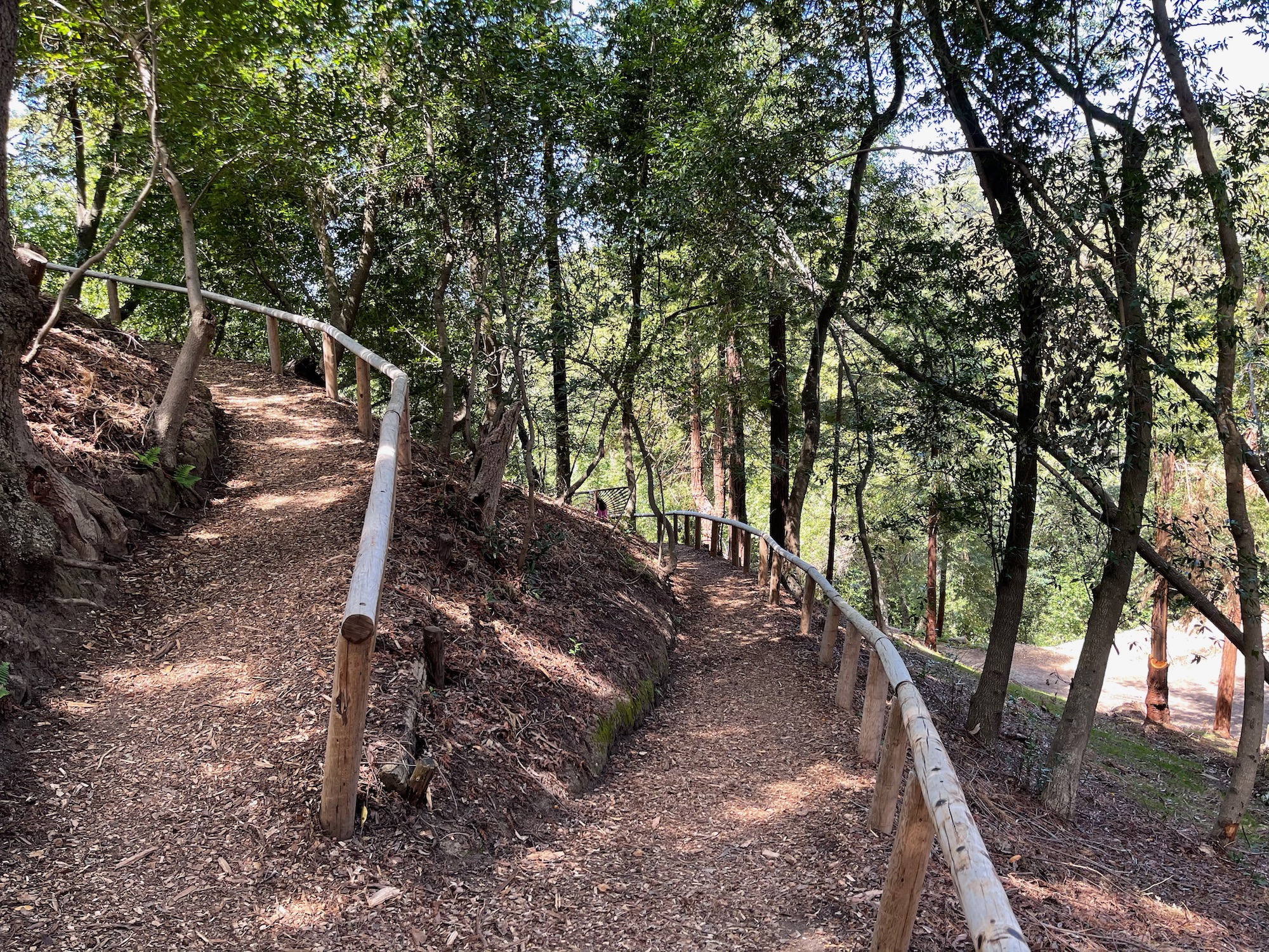 a wooden railings on a trail in a forest