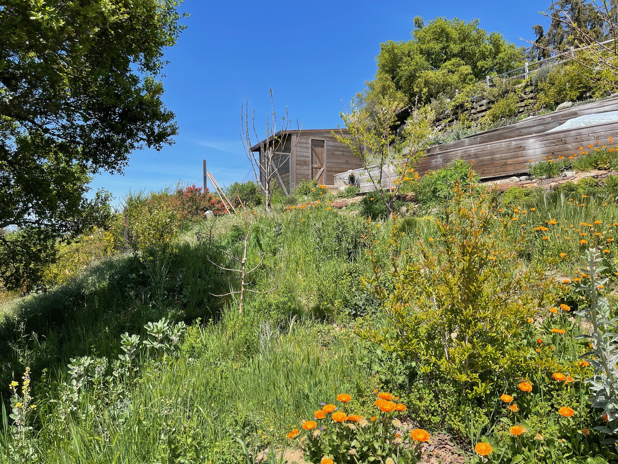 a small house on a hill