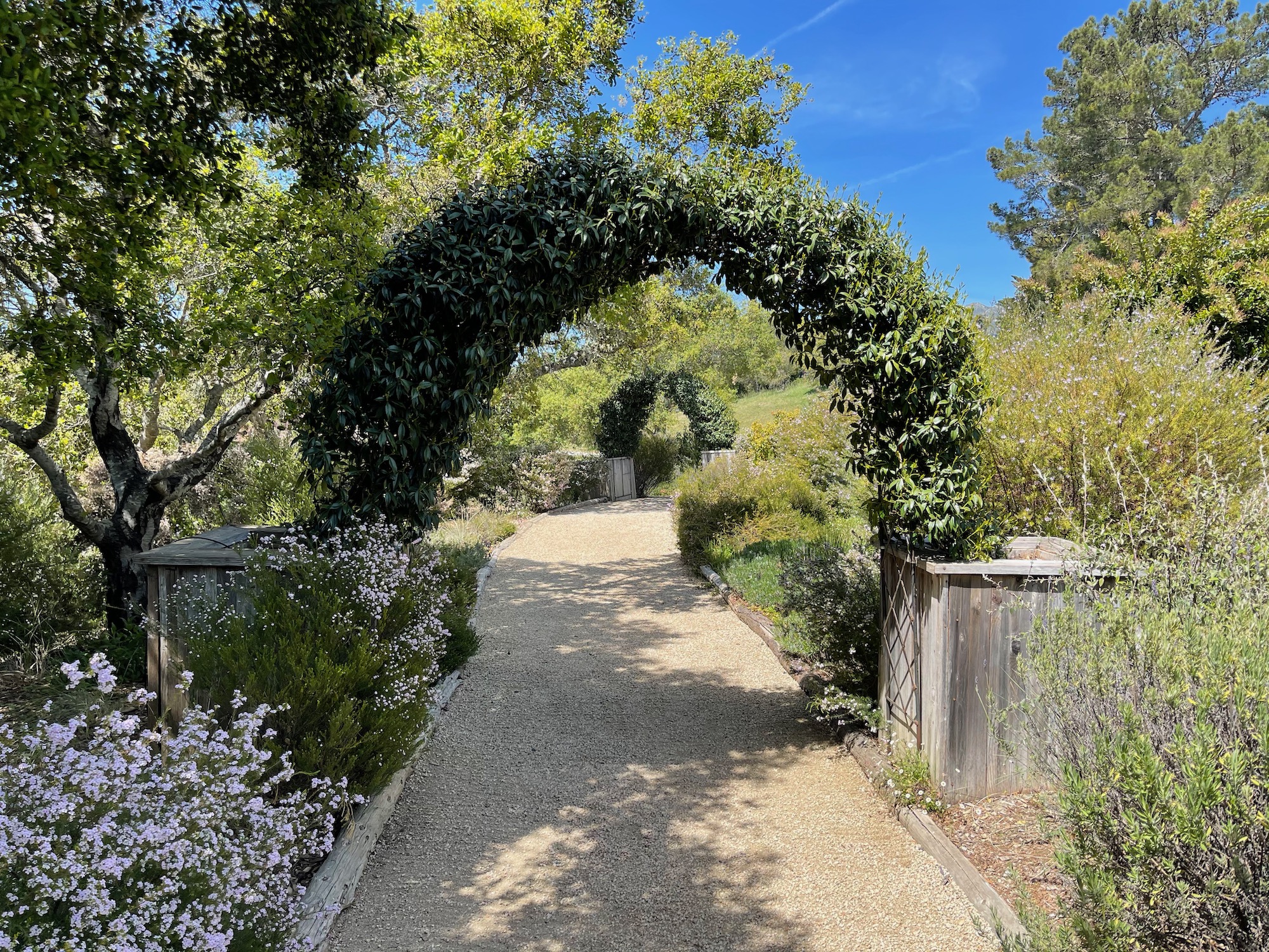 a path with a green arch over it