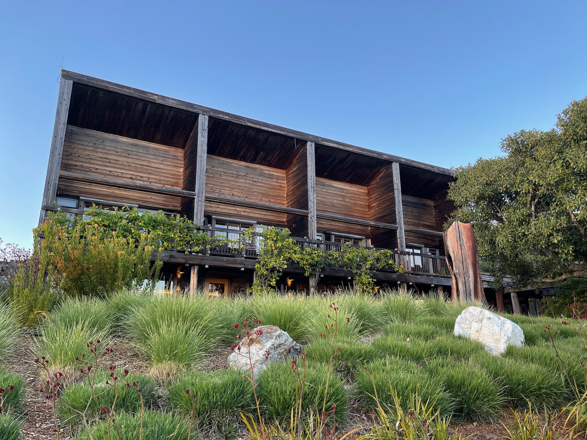 a building with trees and plants