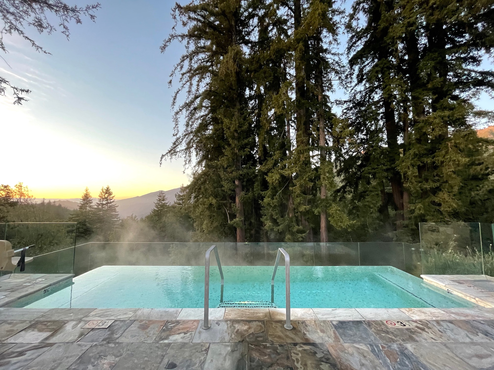 a pool with a railing and trees in the background