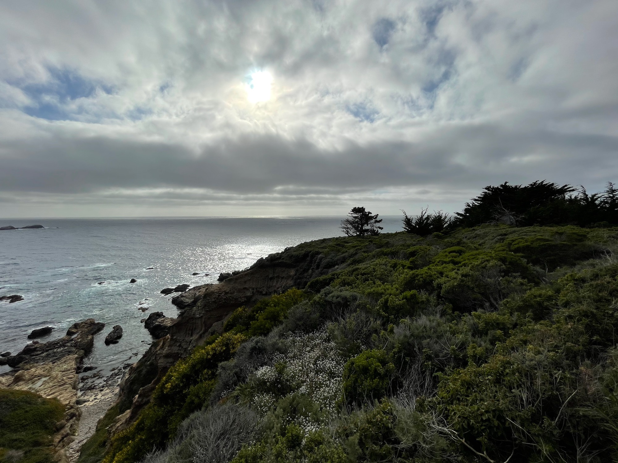 a landscape of a cliff with trees and water