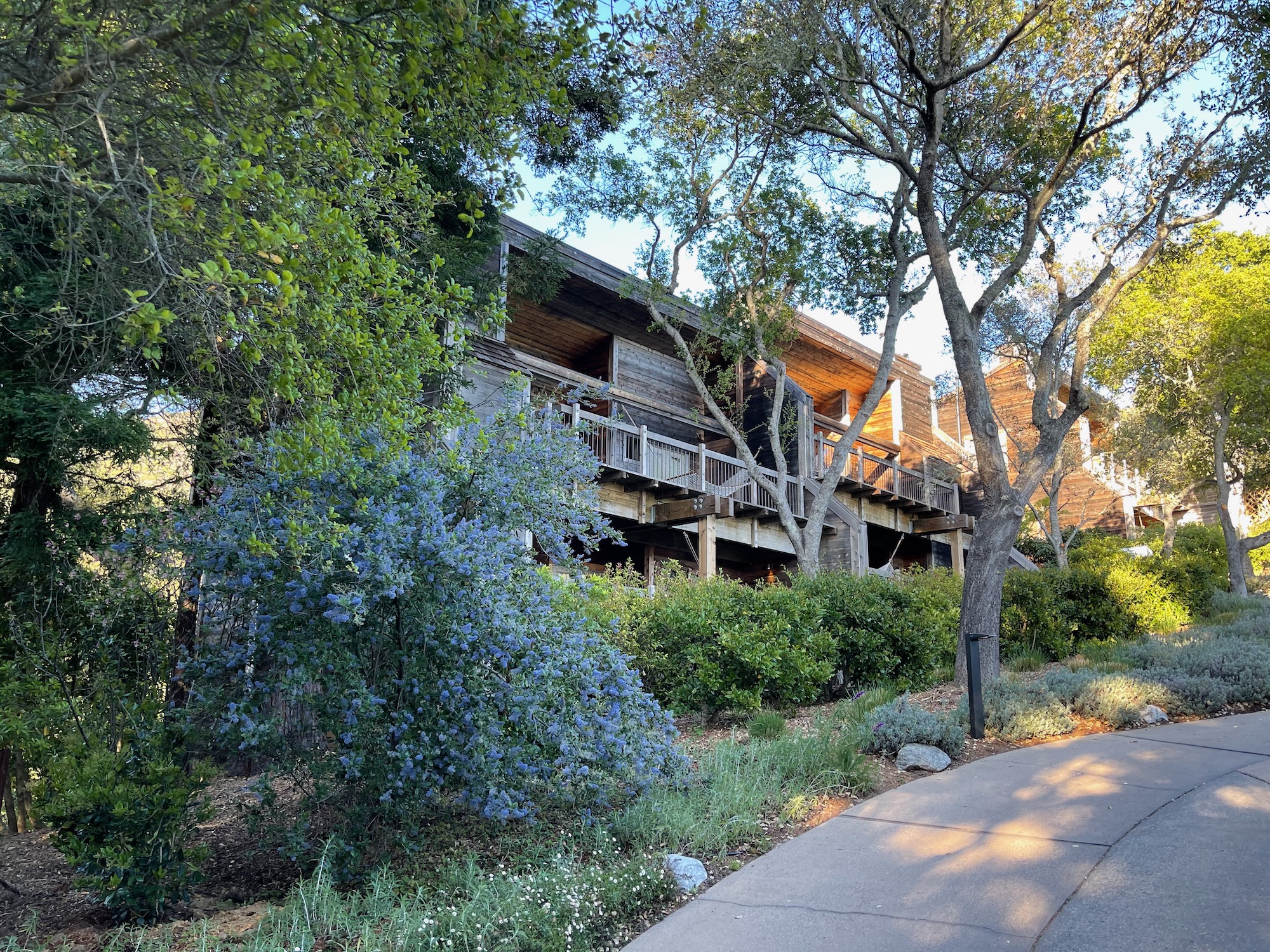 a building with trees and bushes