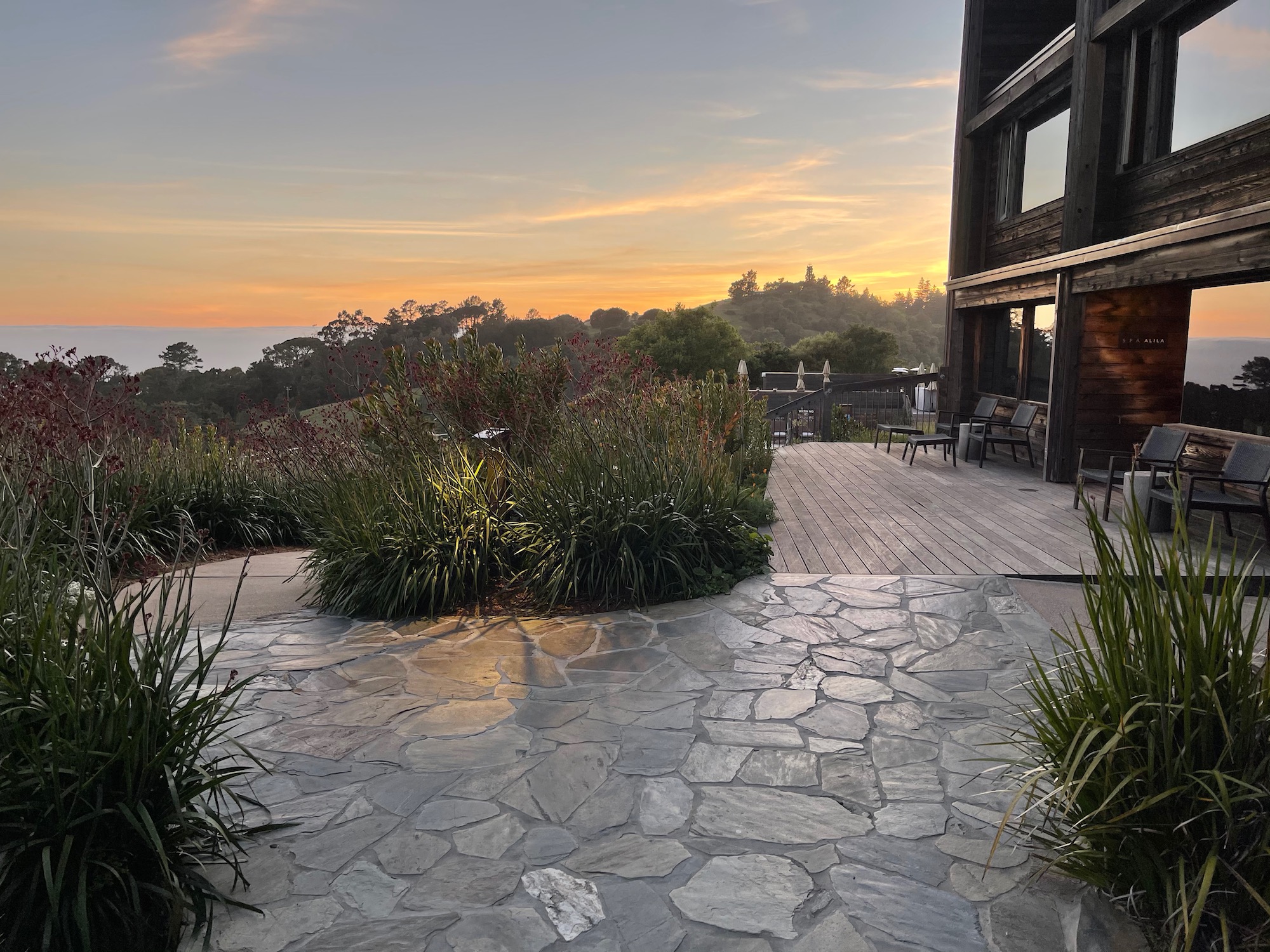 a stone patio with plants and a building in the background