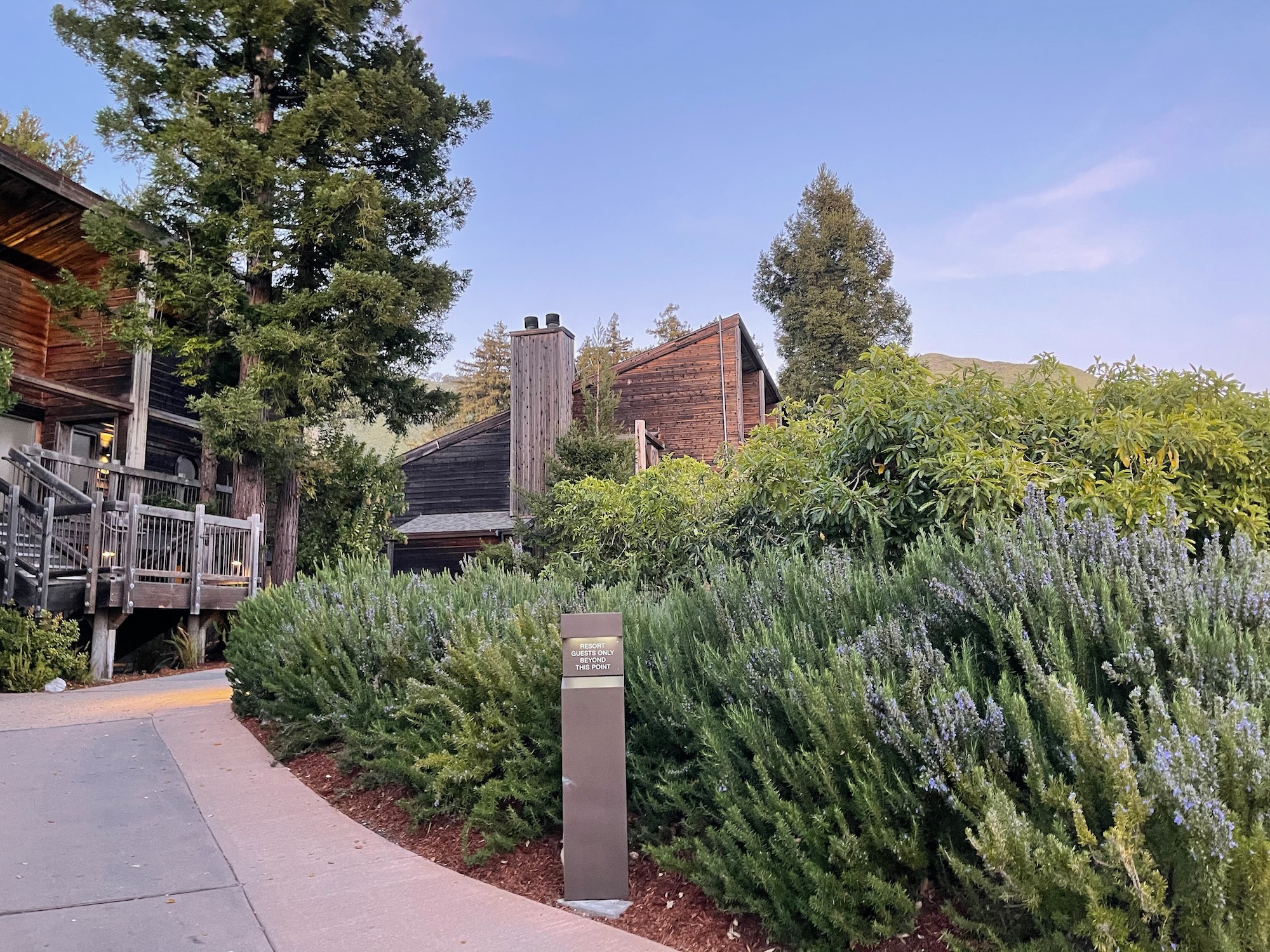 a path with a garden and a house