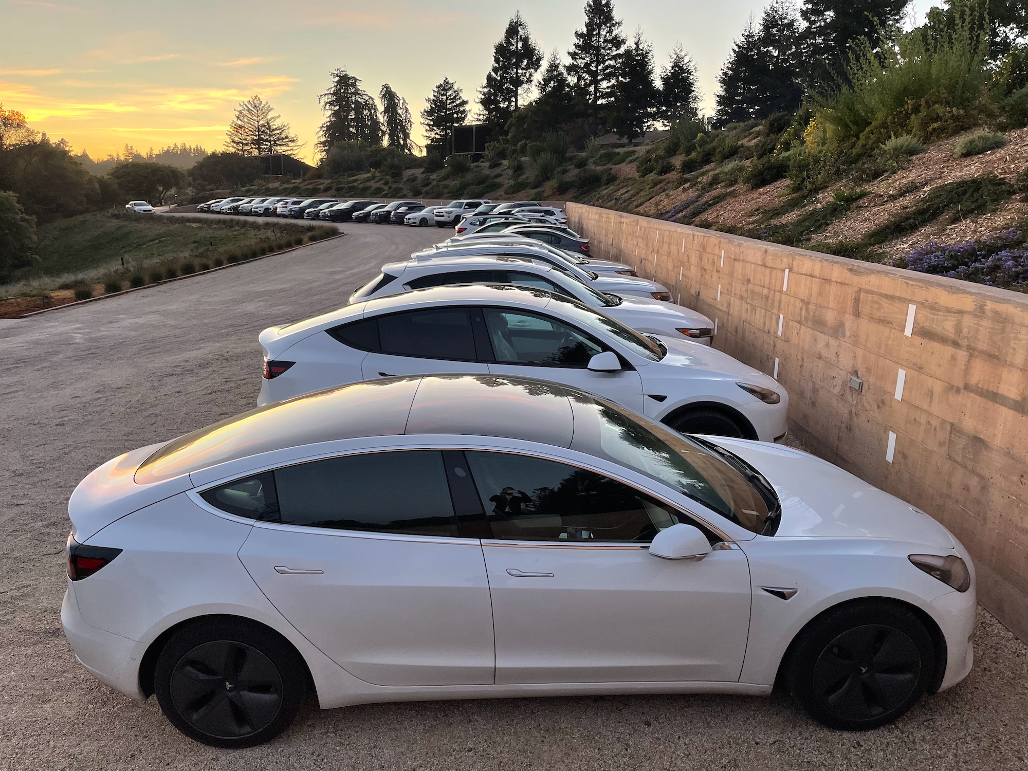 a row of white cars parked in a parking lot