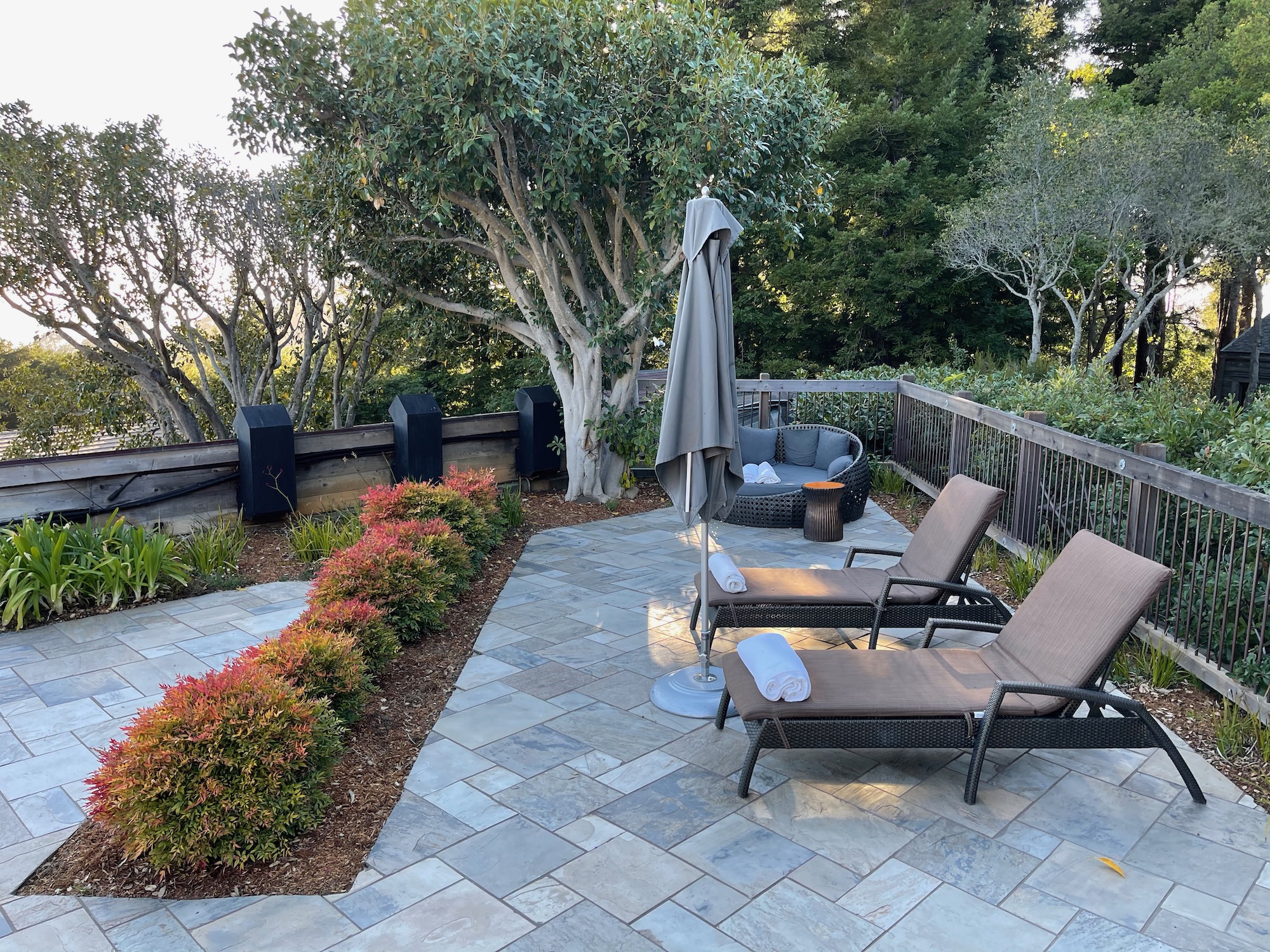 a patio with chairs and a tree