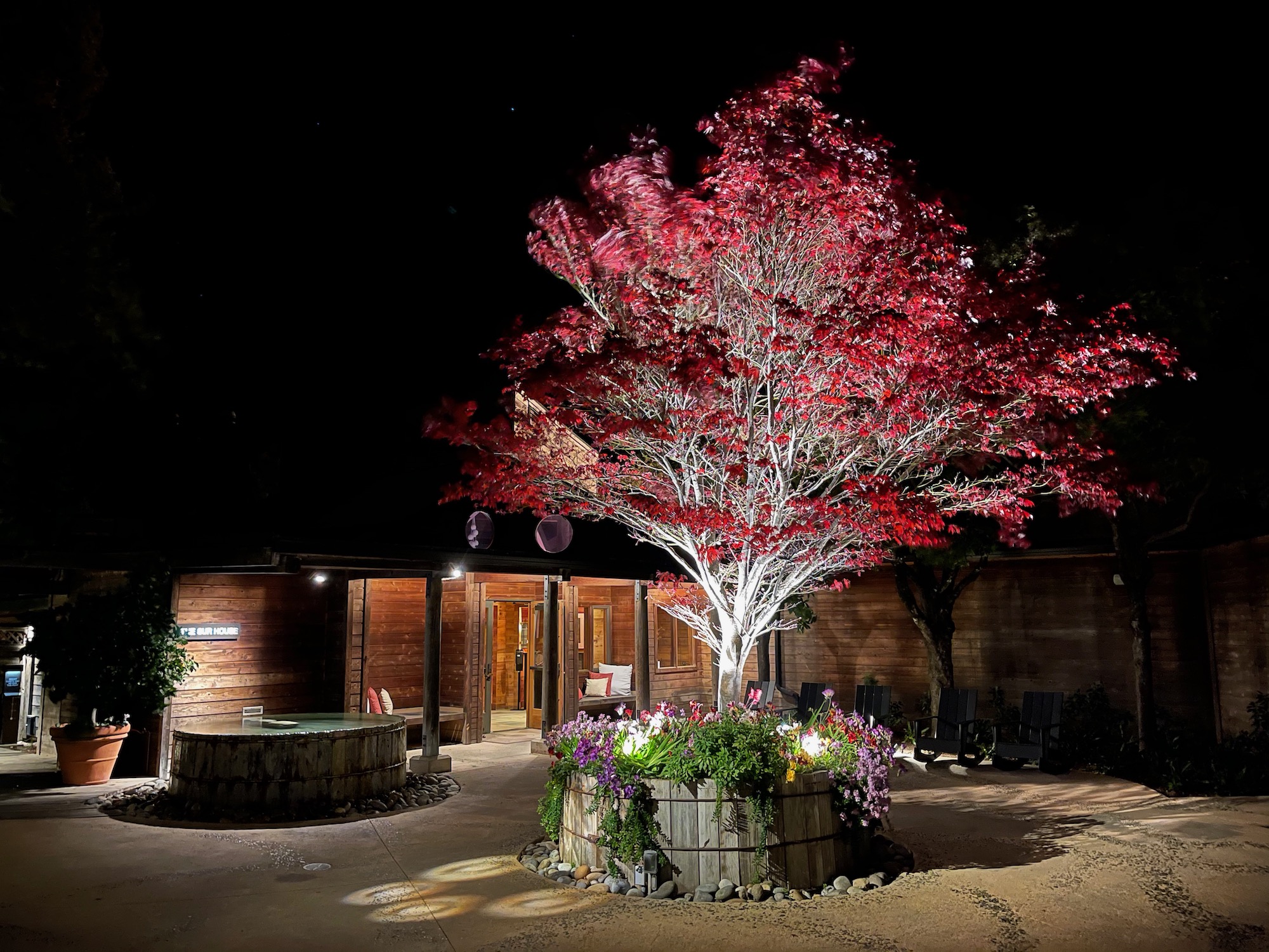 a tree with red leaves and flowers in front of a building