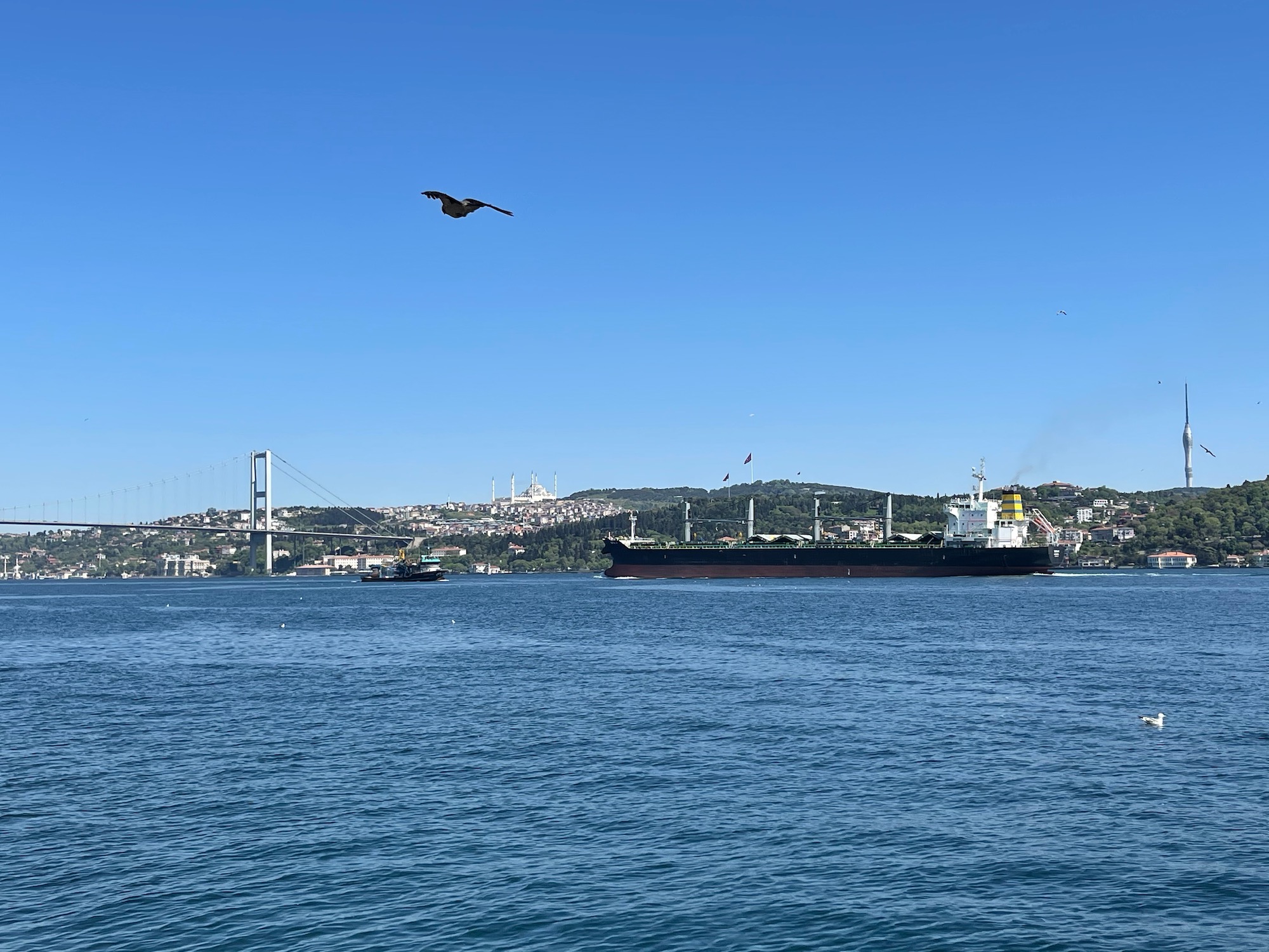 a large ship in the water