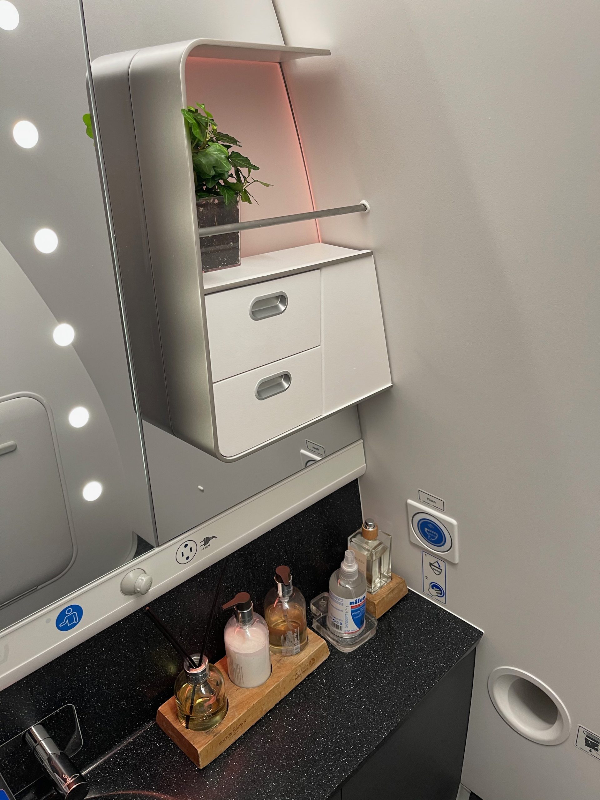 a bathroom with a mirror and a shelf with a plant