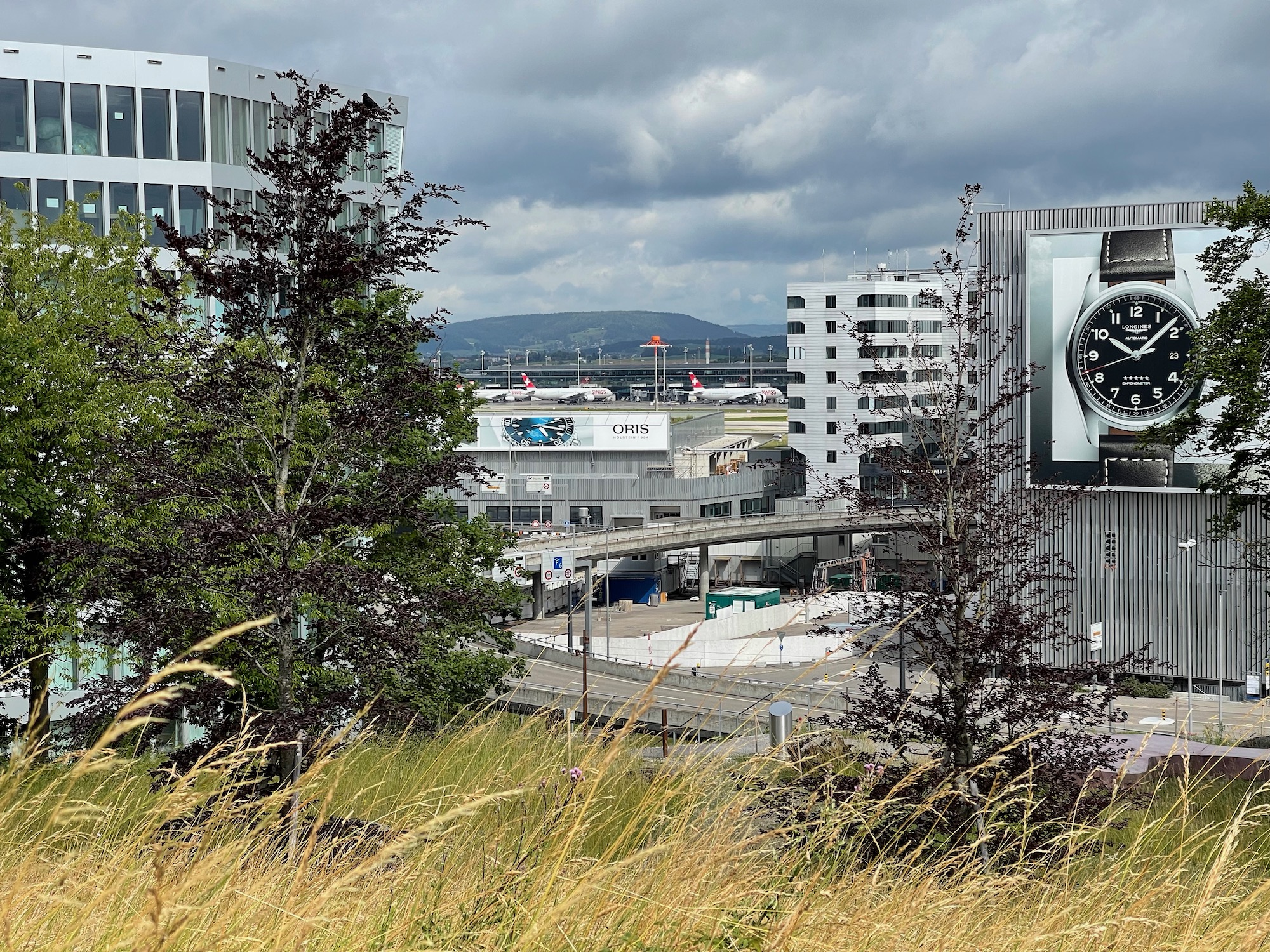 a tall grass and trees with a clock on the side of a building